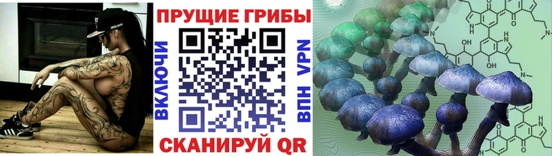 Галлюциногенные грибы MAGIC MUSHROOMS  Красногорск 