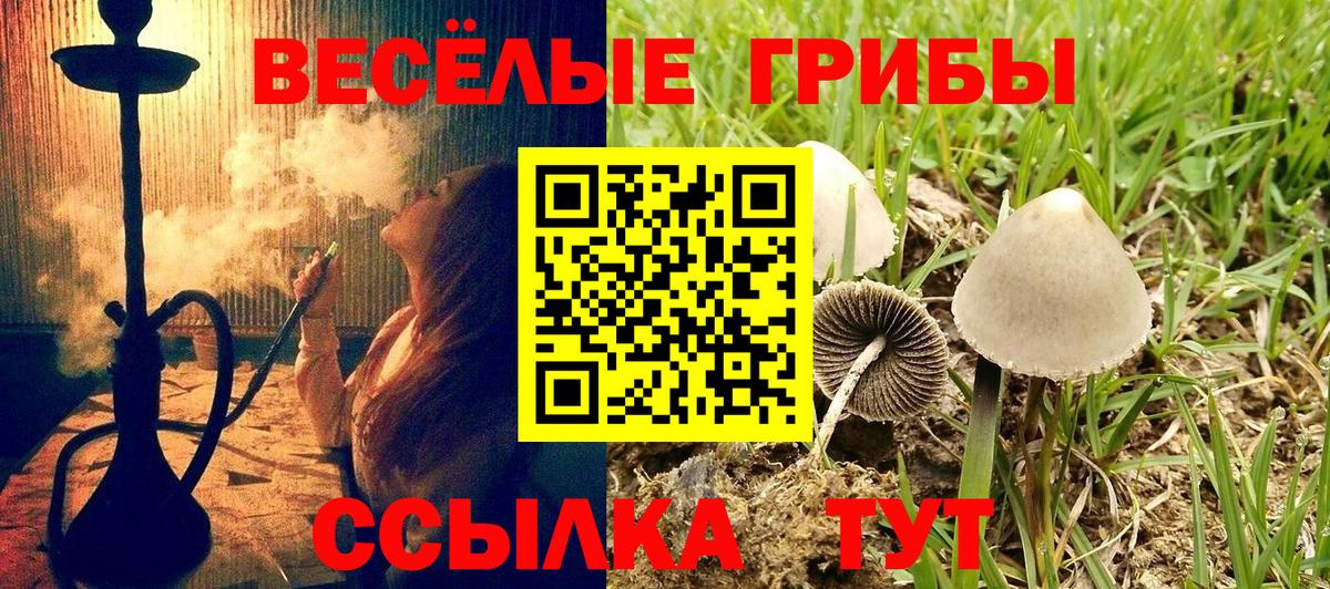 Псилоцибиновые грибы Magic Shrooms Красногорск